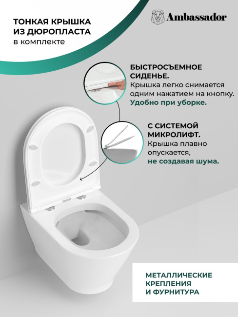 Ambassador Elysium 183K19002RS (520*360*355) подвесной безободковый, 2 места