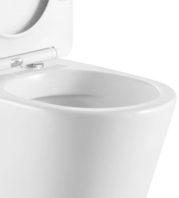 Ceruttispa SANTA Aria подвесной безободковый широкий CT9666 (485х410х355)