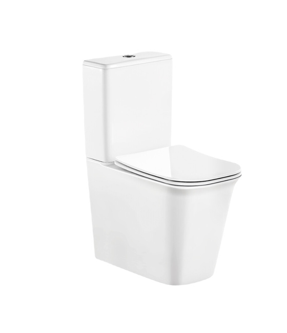 Ceruttispa Arno CT7838