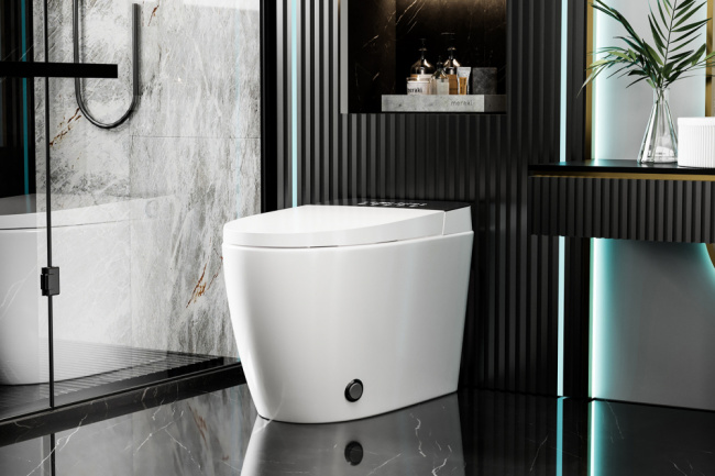 Abber Bequem AC1116S с функцией биде белый